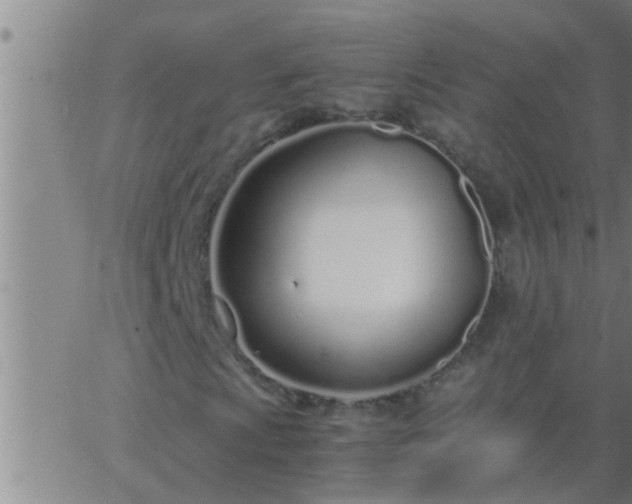 X0000063521009200601271830