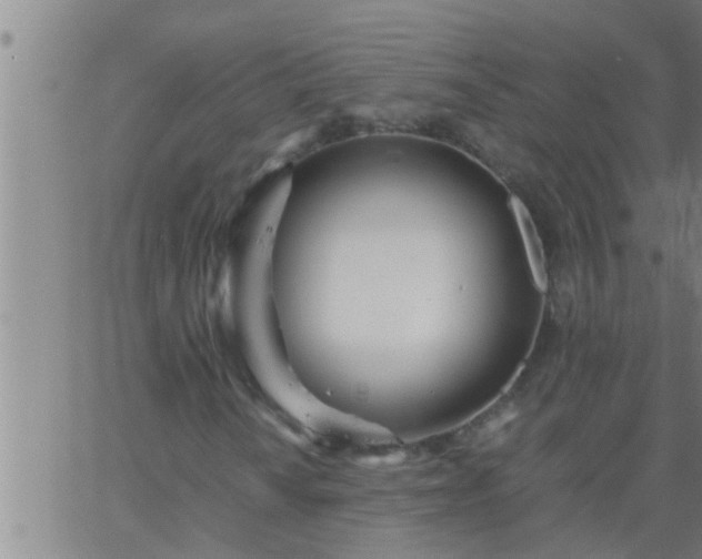 X0000063521010200601271830