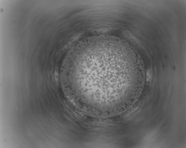 X0000063521011200601271830