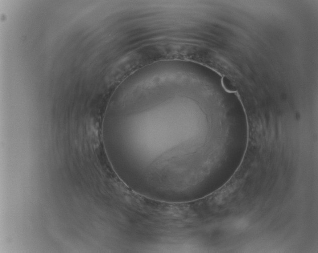 X0000063521013200601271830