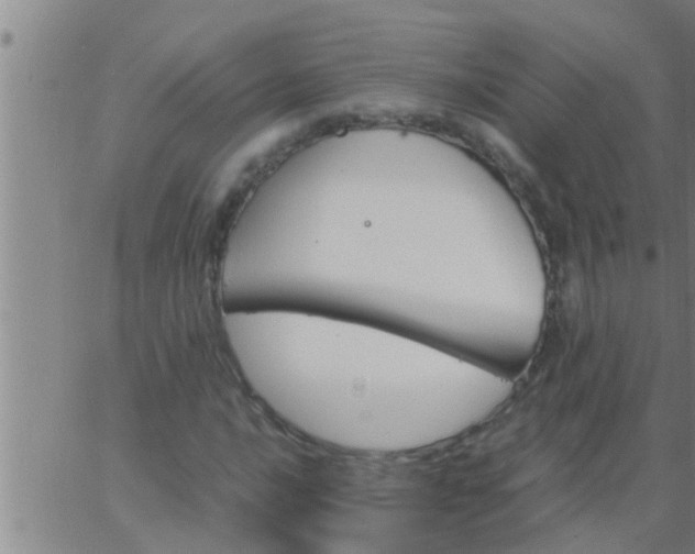 X0000063521016200601271830