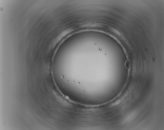 X0000063521017200601271830