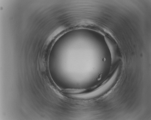 X0000063521018200601271830