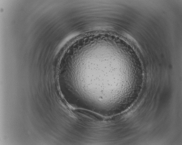 X0000063521019200601271830