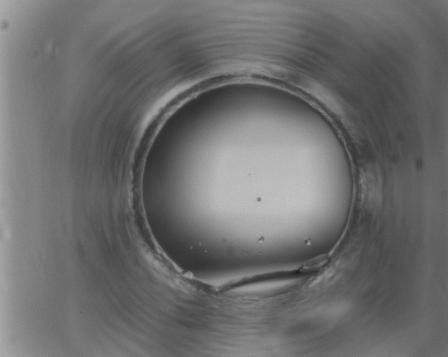 X0000063521020200601271830