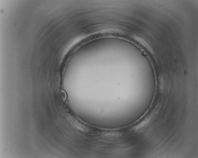 X0000063521021200601271830