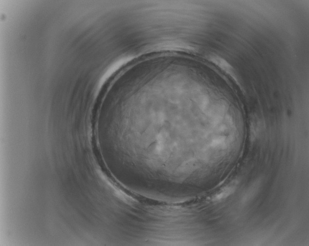 X0000063521024200601271830