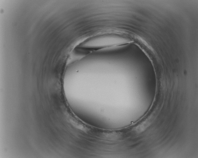 X0000063521025200601271830