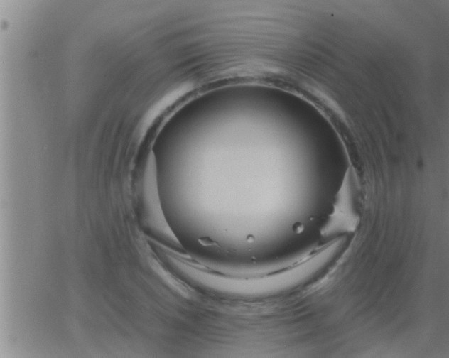 X0000063521026200601271830