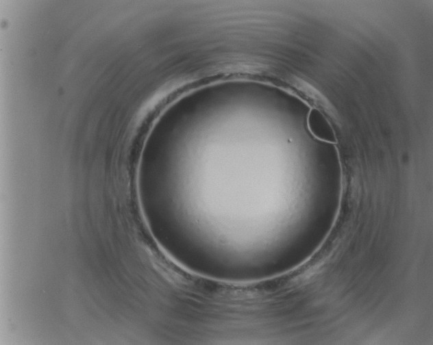 X0000063521027200601271830