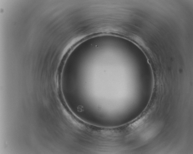 X0000063521032200601271830