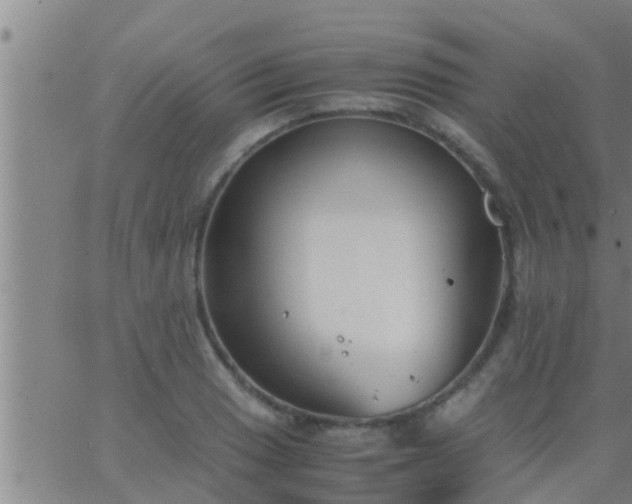 X0000063521033200601271830