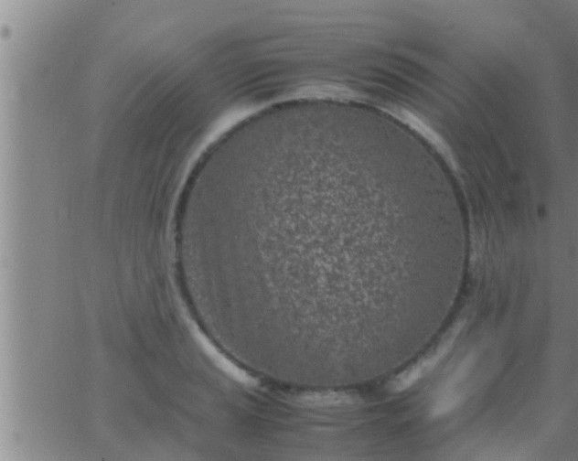 X0000063521037200601271831