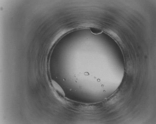 X0000063521039200601271831