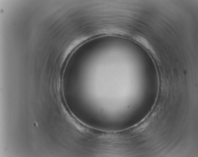 X0000063521040200601271831