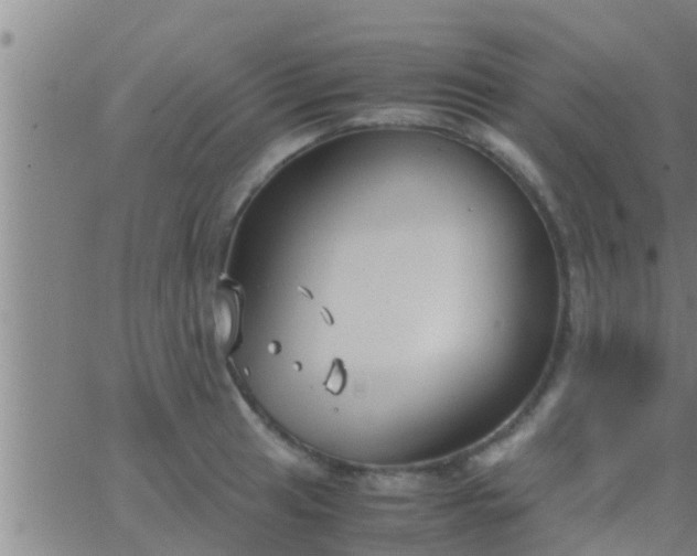 X0000063521041200601271831