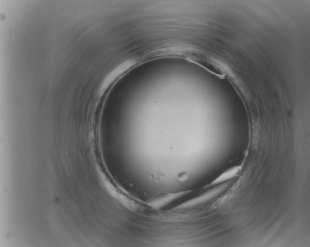 X0000063521042200601271831