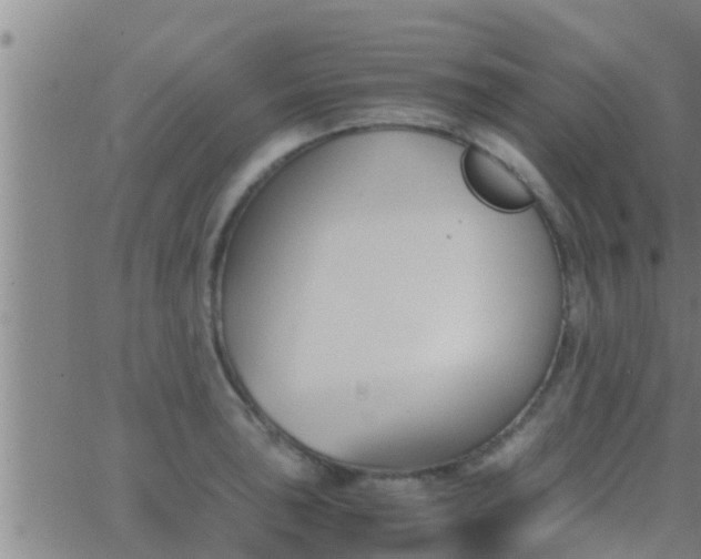 X0000063521043200601271831