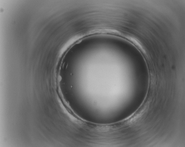 X0000063521046200601271831