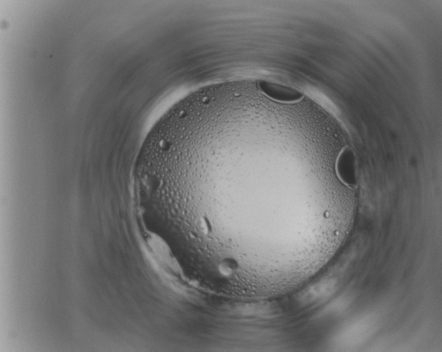 X0000063521047200601271831