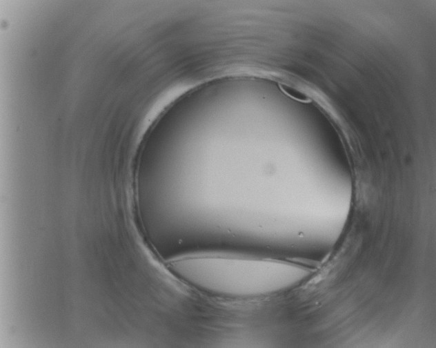 X0000063521048200601271831