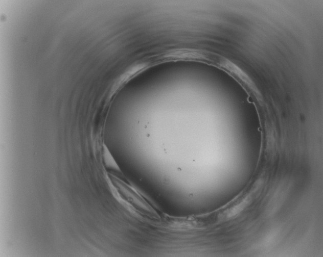 X0000063521049200601271831