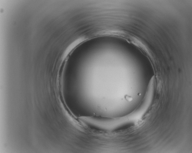 X0000063521050200601271831