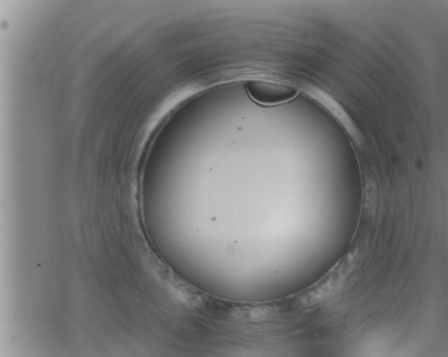 X0000063521051200601271831