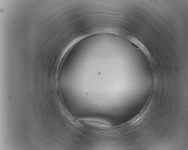 X0000063521052200601271831