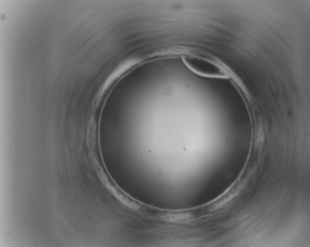 X0000063521053200601271831