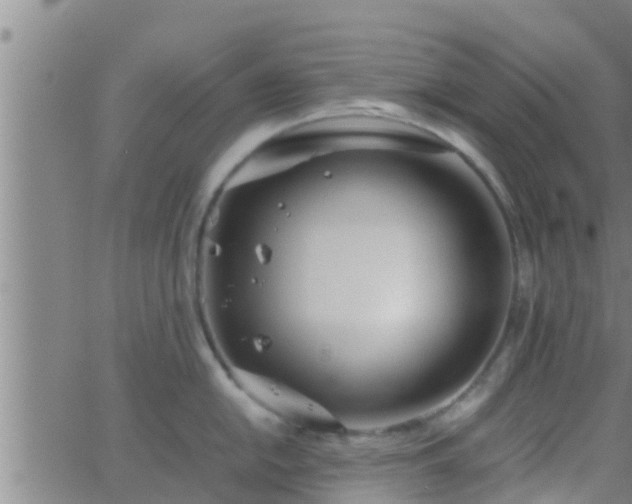 X0000063521054200601271831