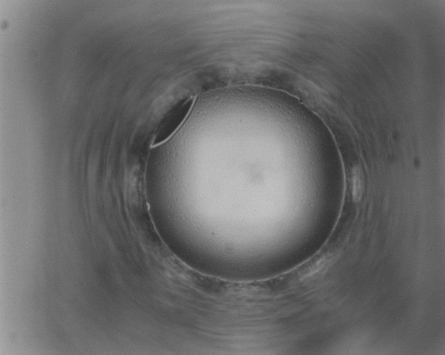 X0000063521059200601271830