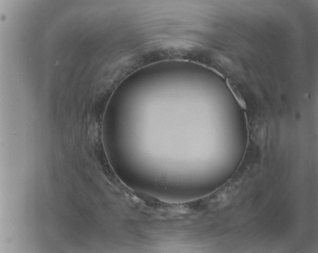 X0000063521061200601271830