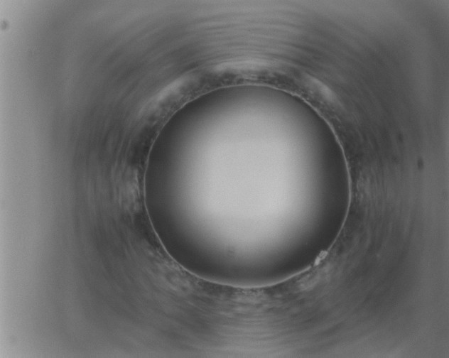 X0000063521062200601271830