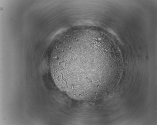 X0000063521063200601271830