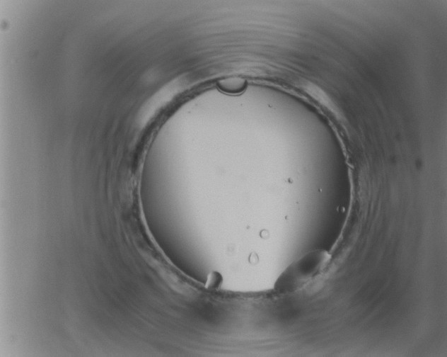 X0000063521067200601271830