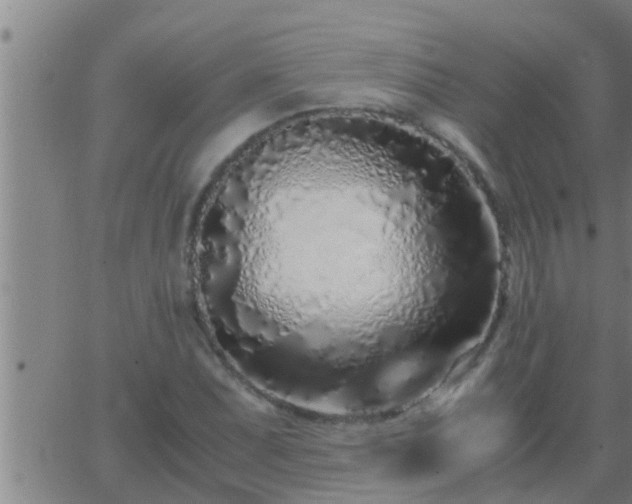 X0000063521071200601271830