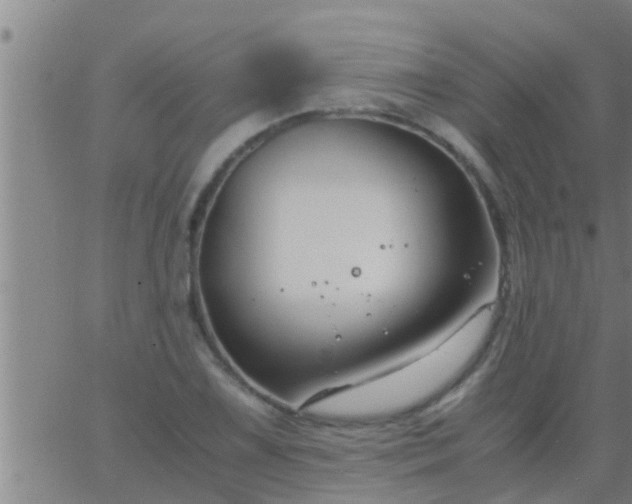 X0000063521075200601271830