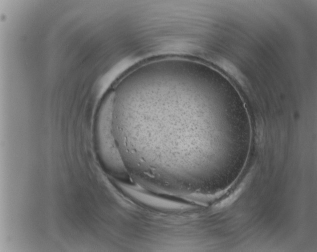 X0000063521077200601271830