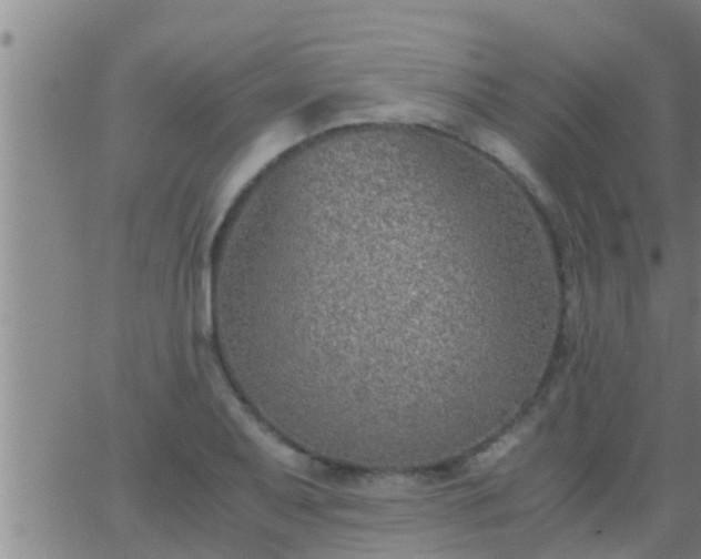 X0000063521079200601271830