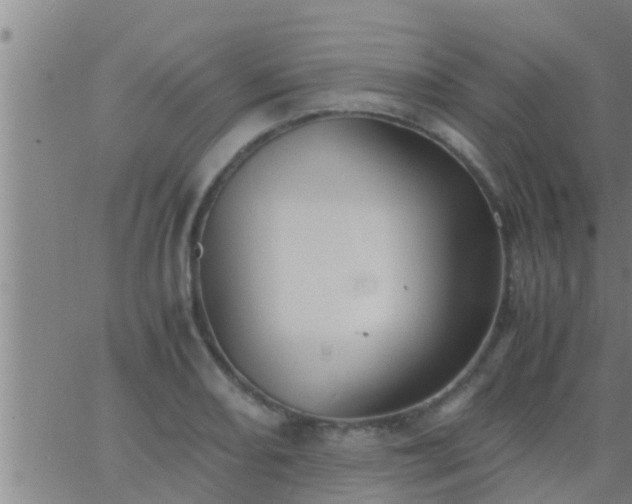 X0000063521082200601271830