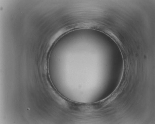 X0000063521083200601271830