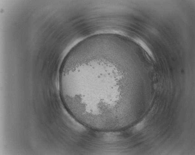 X0000063521084200601271830