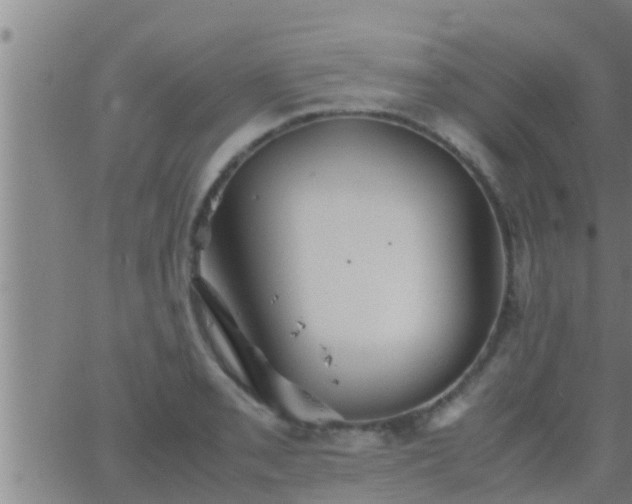 X0000063521085200601271830