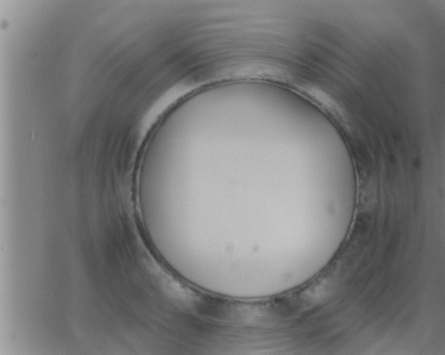 X0000063521086200601271830