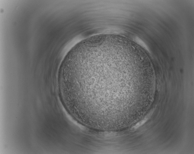 X0000063521087200601271830