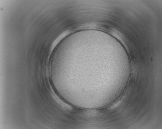 X0000063521090200601271830