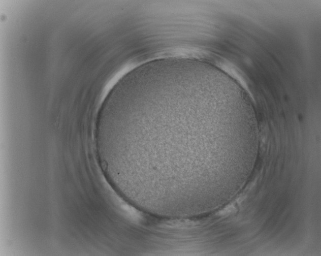 X0000063521091200601271830