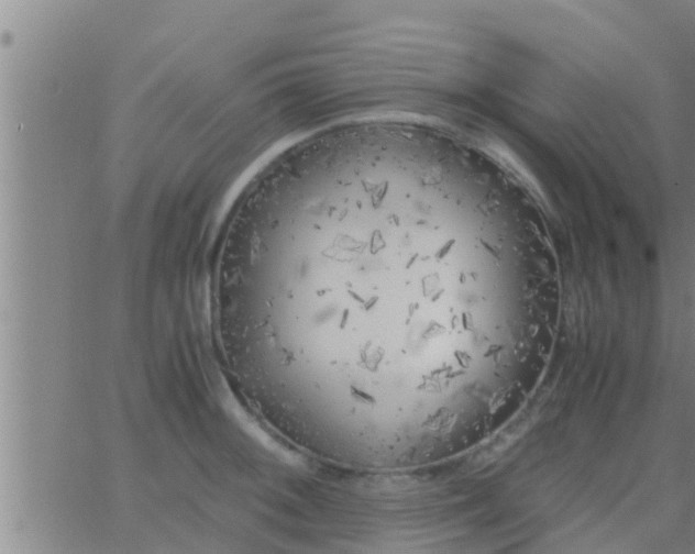 X0000063521092200601271830