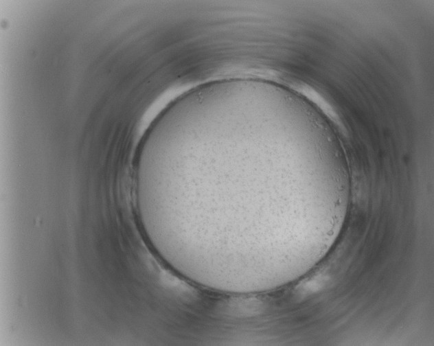 X0000063521094200601271829